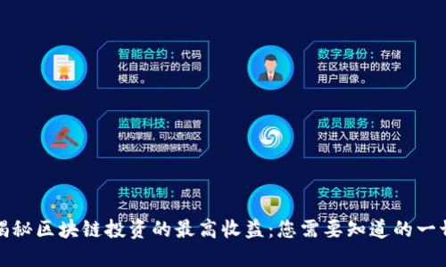 揭秘区块链投资的最高收益:您需要知道的一切