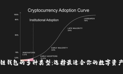 探索区块链钱包的多种类型：选择最适合你的数字资产管理工具