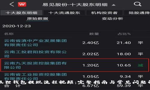 小狐狸钱包提现流程视频：完整指南与常见问题解析