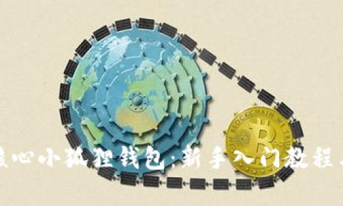 全面解析核心小狐狸钱包:新手入门教程与实用技巧