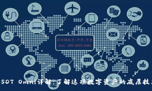:
区块链USDT Omni详解：了解这项数字资产的底层技术与应用