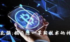 区块链先驱：揭示这一革新技术的神秘面纱