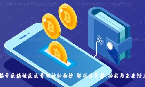 揭开区块链反攻号的神秘面纱:解析其背景、功能与未来潜力