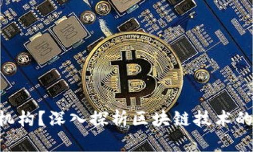 区块链CTO是什么机构？深入探析区块链技术的领导者与未来发展