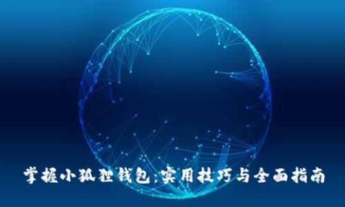 掌握小狐狸钱包:实用技巧与全面指南