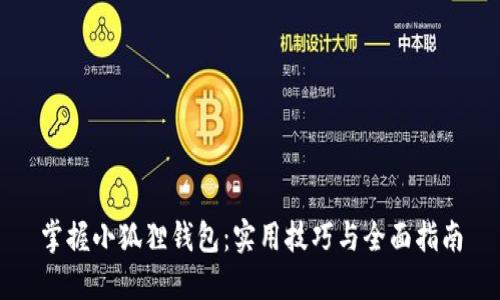掌握小狐狸钱包:实用技巧与全面指南