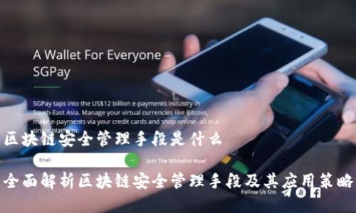 区块链安全管理手段是什么
全面解析区块链安全管理手段及其应用策略